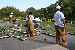 Green Jobs Twin Cities