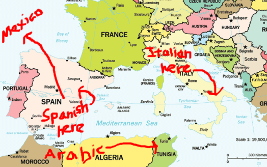 annotated.jpg
