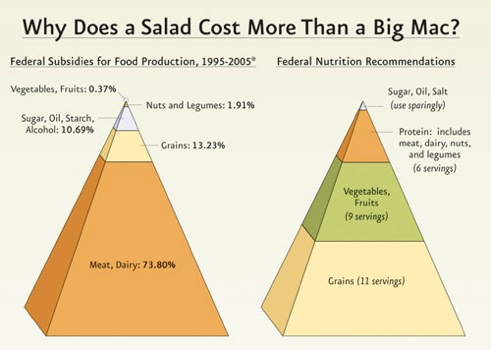 food%20subs%20pyramid-tm.jpg