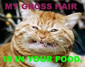 ugly%2Bcat%2Btext.jpg