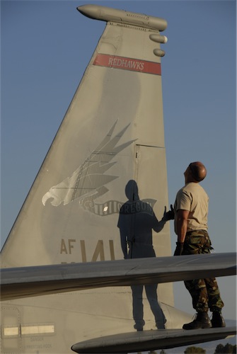 wing%201.jpg